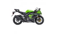 Buy 2013-2018 Kawasaki Ninja ZX6R Fairings